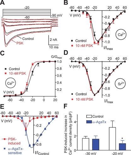 https://cdn.ncbi.nlm.nih.gov/pmc/blobs/7aea/2525928/36aa082df50c/fncel-01-003-g010.jpg