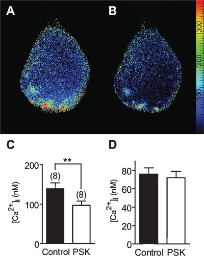 https://cdn.ncbi.nlm.nih.gov/pmc/blobs/7aea/2525928/a7c18b45868d/fncel-01-003-g009.jpg
