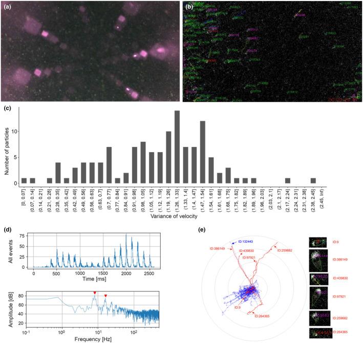 https://cdn.ncbi.nlm.nih.gov/pmc/blobs/7aeb/11349820/cff7a4bd6a91/ECE3-14-e70150-g002.jpg