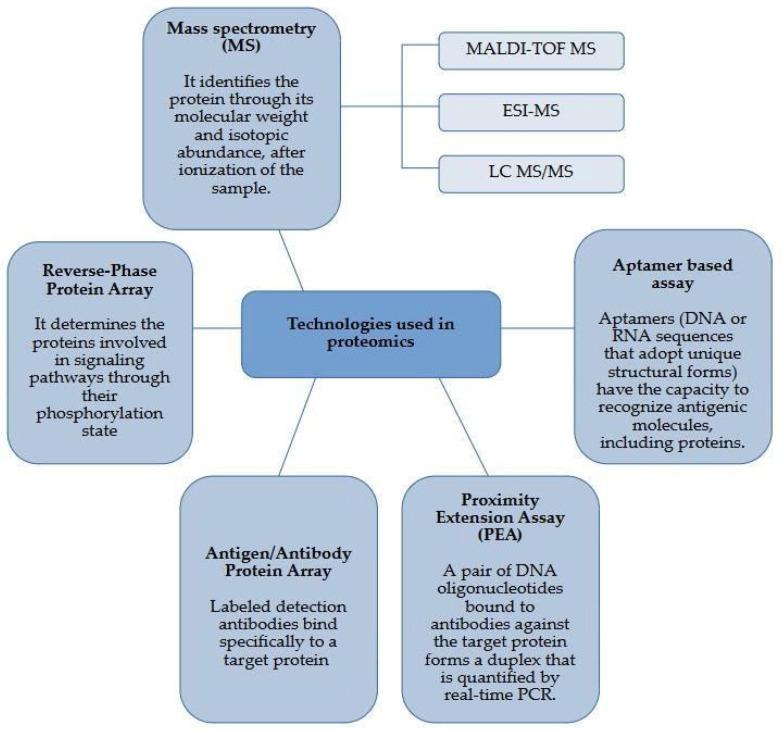 https://cdn.ncbi.nlm.nih.gov/pmc/blobs/7aeb/11766239/cfc3783dadd4/ijms-26-00653-g001.jpg