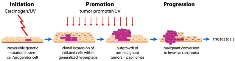 https://cdn.ncbi.nlm.nih.gov/pmc/blobs/7aef/10459560/7f9c62ec724b/pharmaceutics-15-02064-g001.jpg