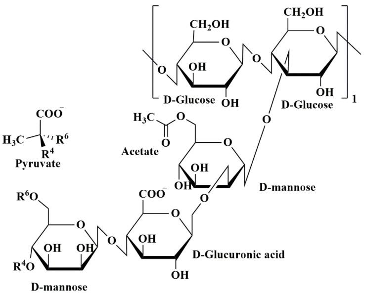 https://cdn.ncbi.nlm.nih.gov/pmc/blobs/7aef/10459560/8a727357af7a/pharmaceutics-15-02064-g013.jpg