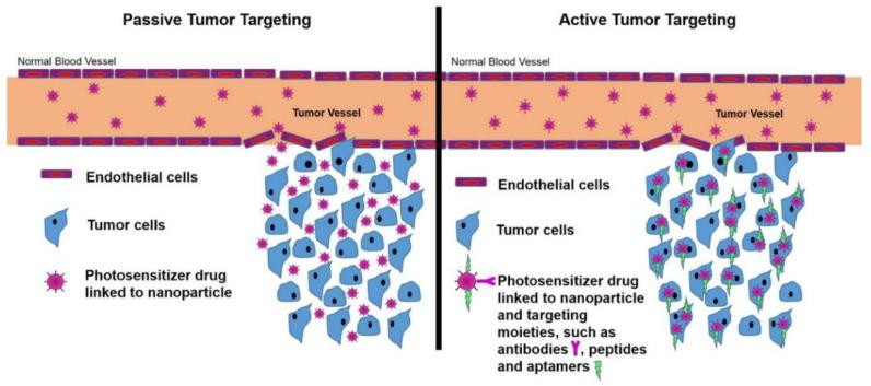 https://cdn.ncbi.nlm.nih.gov/pmc/blobs/7aef/10459560/fc3595fc5d72/pharmaceutics-15-02064-g005.jpg