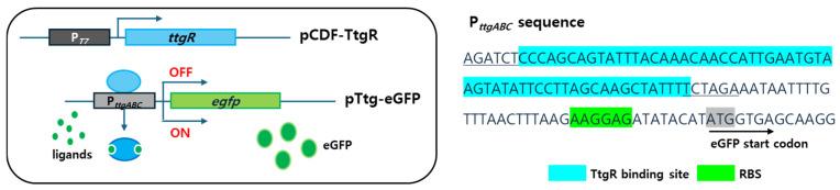https://cdn.ncbi.nlm.nih.gov/pmc/blobs/7aef/12384351/af1728dba1d6/biosensors-15-00554-g002.jpg
