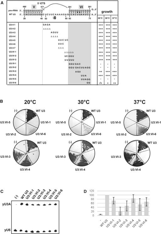 https://cdn.ncbi.nlm.nih.gov/pmc/blobs/7aef/3239212/42707af2a6c4/gkr675f2.jpg