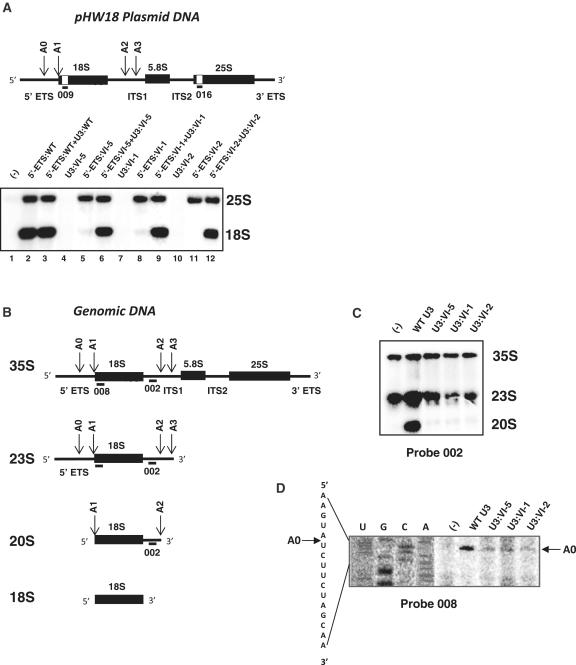 https://cdn.ncbi.nlm.nih.gov/pmc/blobs/7aef/3239212/5b69b7ef0251/gkr675f4.jpg