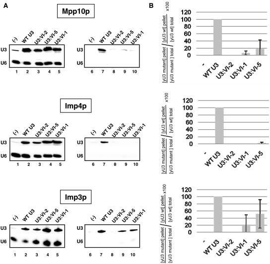 https://cdn.ncbi.nlm.nih.gov/pmc/blobs/7aef/3239212/afa7e59df30b/gkr675f5.jpg