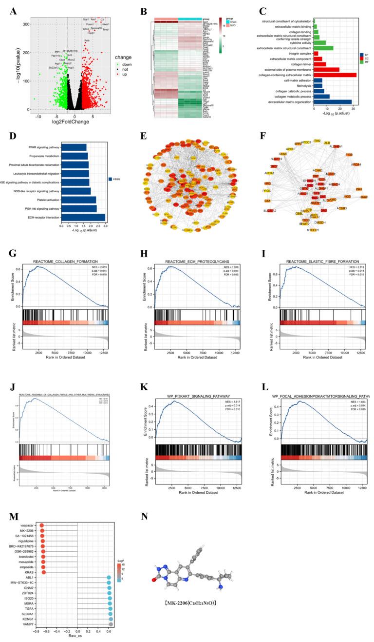 https://cdn.ncbi.nlm.nih.gov/pmc/blobs/7aef/9655032/1cc562243e81/cells-11-03505-g002.jpg