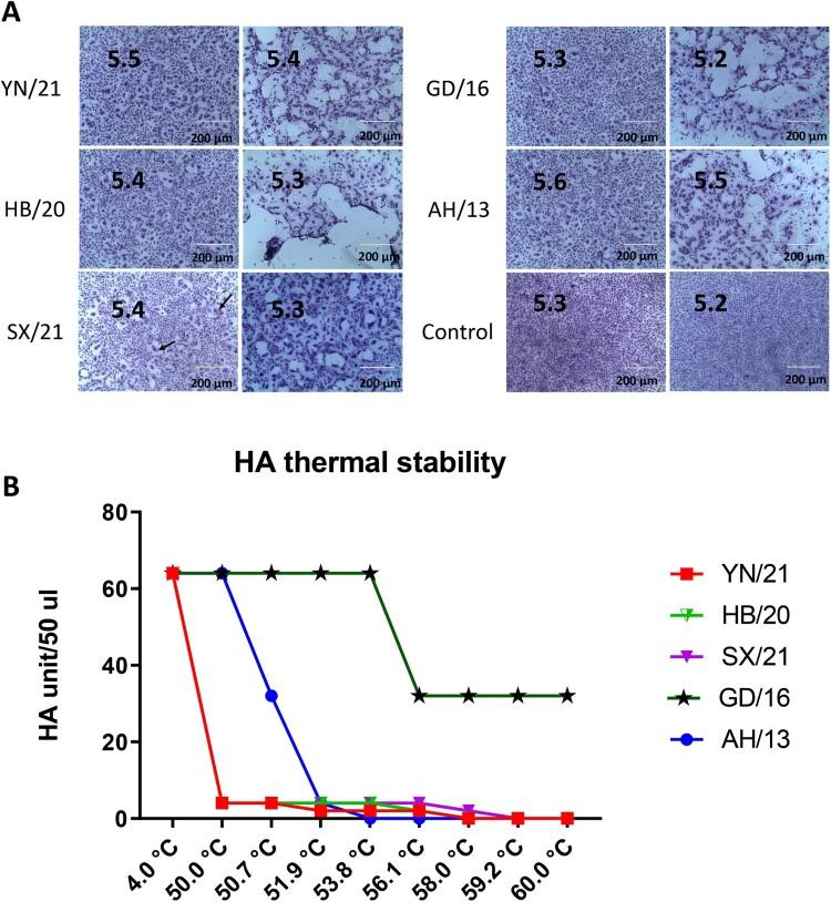 https://cdn.ncbi.nlm.nih.gov/pmc/blobs/7af0/9930780/11d3115e147b/TEMI_A_2172965_F0002_OC.jpg