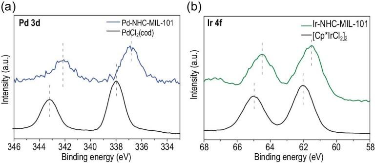 https://cdn.ncbi.nlm.nih.gov/pmc/blobs/7af1/9270066/1700b3803850/nwab157fig4.jpg