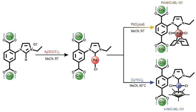 https://cdn.ncbi.nlm.nih.gov/pmc/blobs/7af1/9270066/45872c49382b/nwab157fig1.jpg