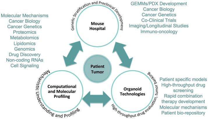 https://cdn.ncbi.nlm.nih.gov/pmc/blobs/7af3/6122291/c2007b98ec82/fonc-08-00340-g0001.jpg