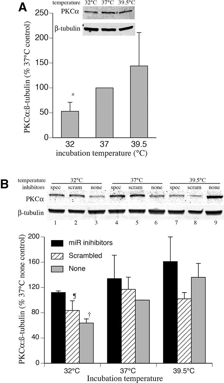 https://cdn.ncbi.nlm.nih.gov/pmc/blobs/7af4/4478345/a76a18536ed5/1261F04.jpg