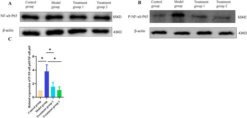 https://cdn.ncbi.nlm.nih.gov/pmc/blobs/7af5/11141264/9ab3a4808f3f/gr4.jpg