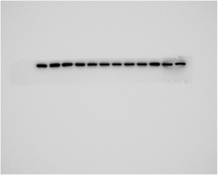 https://cdn.ncbi.nlm.nih.gov/pmc/blobs/7af5/11141264/af6d2371aa80/mmcfigs5.jpg