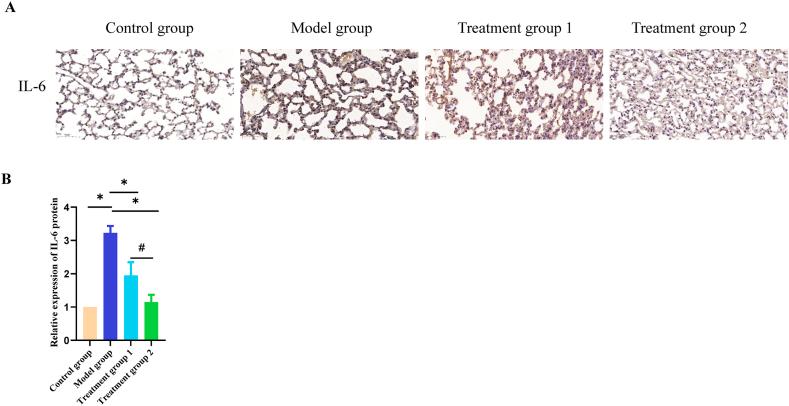https://cdn.ncbi.nlm.nih.gov/pmc/blobs/7af5/11141264/f187bff9fc76/gr3a.jpg