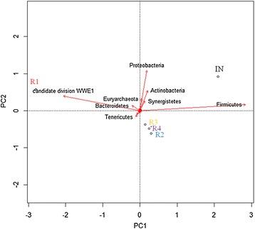 https://cdn.ncbi.nlm.nih.gov/pmc/blobs/7af8/4200192/cbae4774ed85/13068_2014_146_Fig5_HTML.jpg