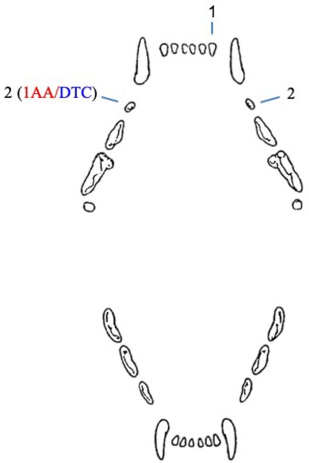 https://cdn.ncbi.nlm.nih.gov/pmc/blobs/7afc/6856145/e0c56411bdf2/fvets-06-00357-g0002.jpg