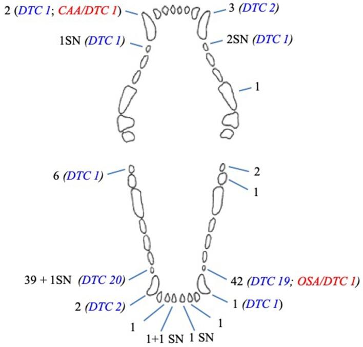 https://cdn.ncbi.nlm.nih.gov/pmc/blobs/7afc/6856145/efdbb517678e/fvets-06-00357-g0003.jpg