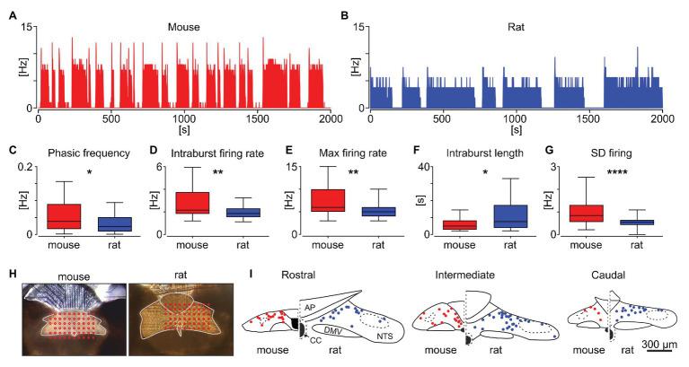 https://cdn.ncbi.nlm.nih.gov/pmc/blobs/7afd/7982836/2d2a3051bf5d/fphys-12-638695-g003.jpg