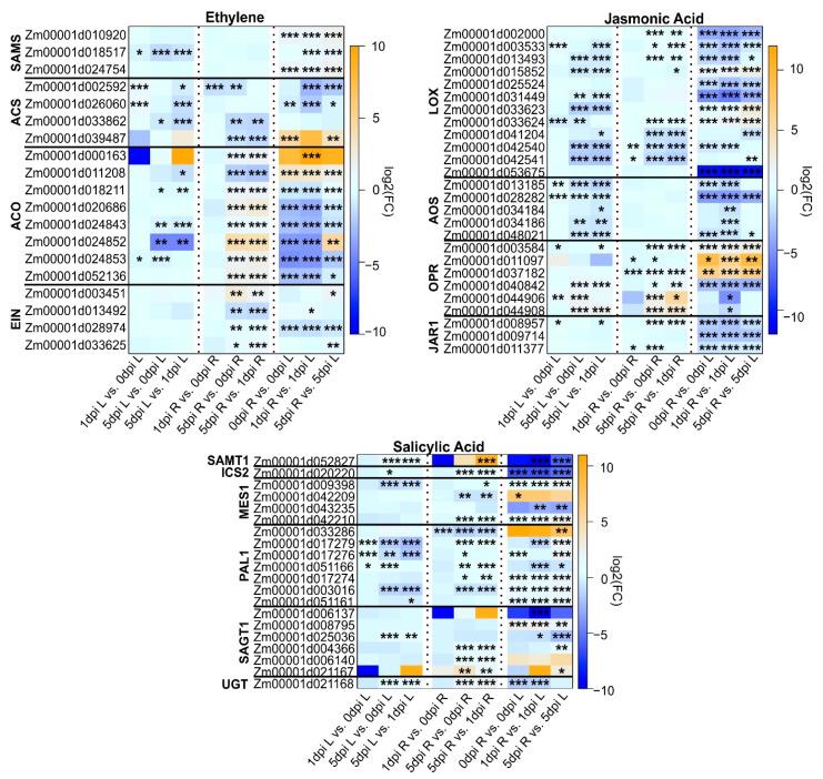 https://cdn.ncbi.nlm.nih.gov/pmc/blobs/7afd/9505089/6e0e3f3459d0/plants-11-02335-g005.jpg