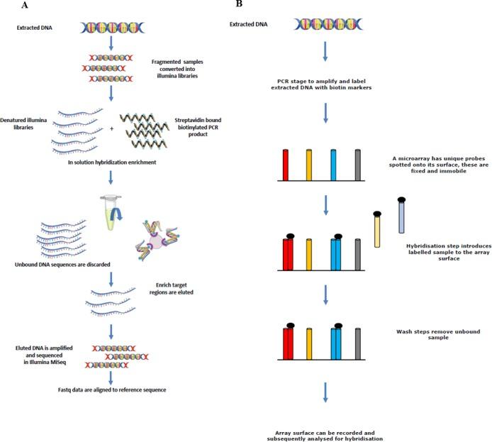 https://cdn.ncbi.nlm.nih.gov/pmc/blobs/7afe/4991868/e009a920492e/peerj-04-2216-g001.jpg
