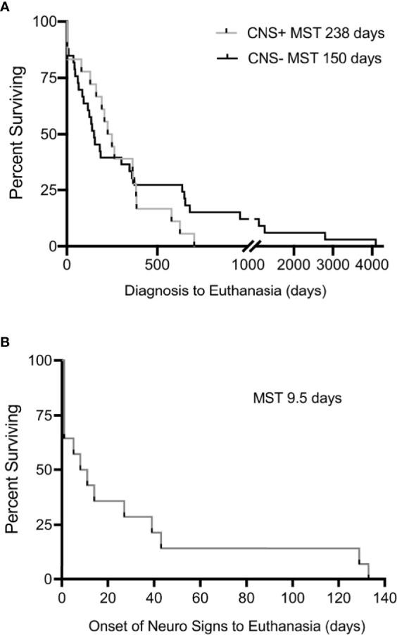https://cdn.ncbi.nlm.nih.gov/pmc/blobs/7afe/9186031/0741b7379a81/fonc-12-868004-g006.jpg