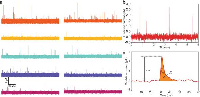 https://cdn.ncbi.nlm.nih.gov/pmc/blobs/7aff/7813837/4b1d9bff96d2/41467_2020_20267_Fig3_HTML.jpg