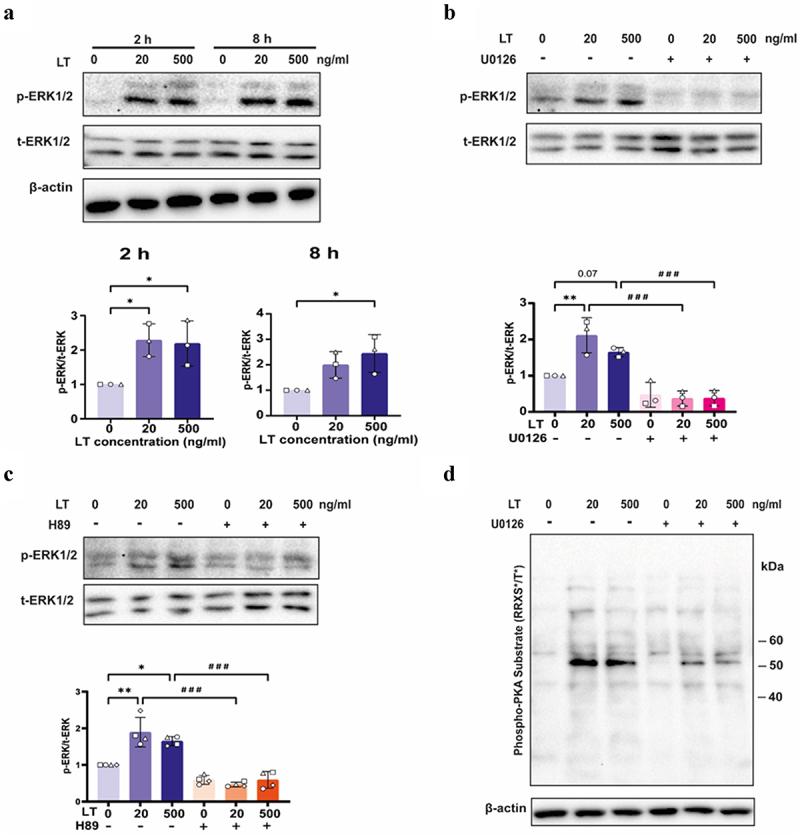 https://cdn.ncbi.nlm.nih.gov/pmc/blobs/7b01/11407407/44297bfb7f5b/KGMI_A_2399215_F0007_OC.jpg