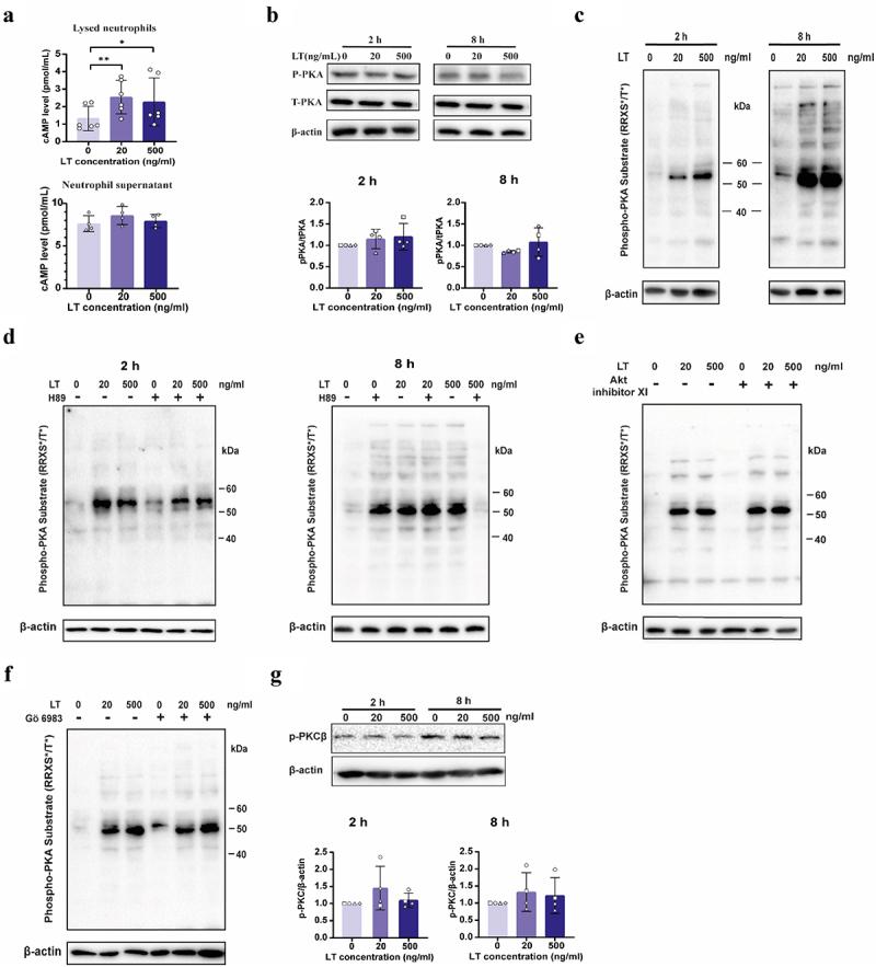 https://cdn.ncbi.nlm.nih.gov/pmc/blobs/7b01/11407407/457e0abe4e9e/KGMI_A_2399215_F0006_OC.jpg