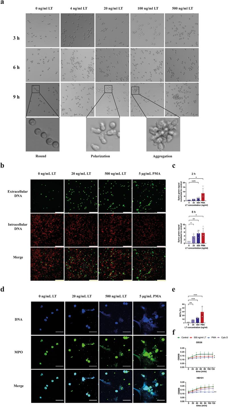 https://cdn.ncbi.nlm.nih.gov/pmc/blobs/7b01/11407407/adbedcf8a5e7/KGMI_A_2399215_F0005_OC.jpg