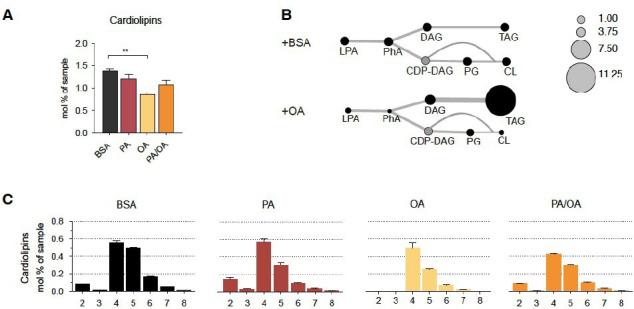 https://cdn.ncbi.nlm.nih.gov/pmc/blobs/7b02/9154741/3a7383fac37e/elife-74391-sa2-fig2.jpg