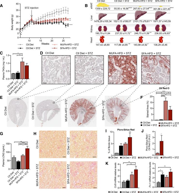 https://cdn.ncbi.nlm.nih.gov/pmc/blobs/7b02/9154741/4a0006197720/elife-74391-fig1.jpg