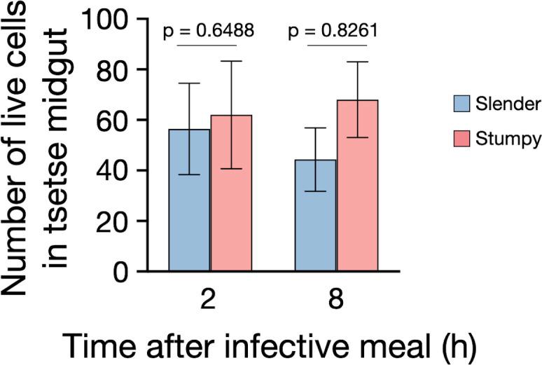 https://cdn.ncbi.nlm.nih.gov/pmc/blobs/7b03/8448533/0b7cd2557c7a/elife-66028-fig5-figsupp2.jpg