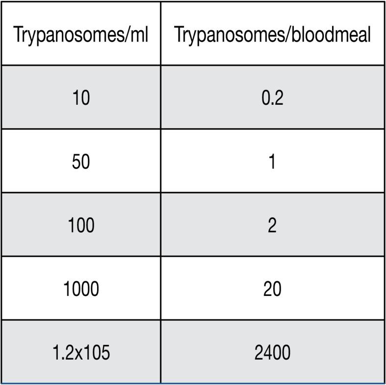 https://cdn.ncbi.nlm.nih.gov/pmc/blobs/7b03/8448533/6b70d7d51723/elife-66028-fig2-figsupp1.jpg