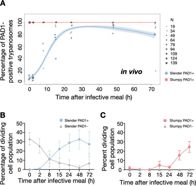 https://cdn.ncbi.nlm.nih.gov/pmc/blobs/7b03/8448533/aff505038697/elife-66028-fig5.jpg