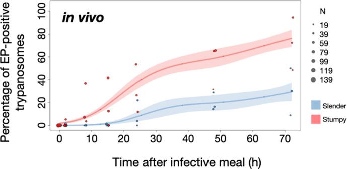 https://cdn.ncbi.nlm.nih.gov/pmc/blobs/7b03/8448533/d6a6efbd99c1/elife-66028-fig6.jpg