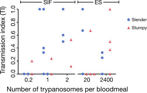 https://cdn.ncbi.nlm.nih.gov/pmc/blobs/7b03/8448533/e7b888de35a1/elife-66028-fig3-figsupp1.jpg