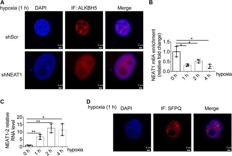 https://cdn.ncbi.nlm.nih.gov/pmc/blobs/7b04/10457456/54b4076f9a59/gr4.jpg