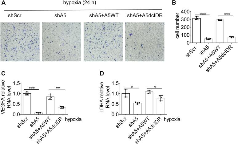 https://cdn.ncbi.nlm.nih.gov/pmc/blobs/7b04/10457456/9d5484099639/gr6.jpg