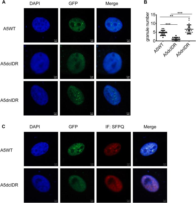 https://cdn.ncbi.nlm.nih.gov/pmc/blobs/7b04/10457456/a8a73303a572/gr3.jpg