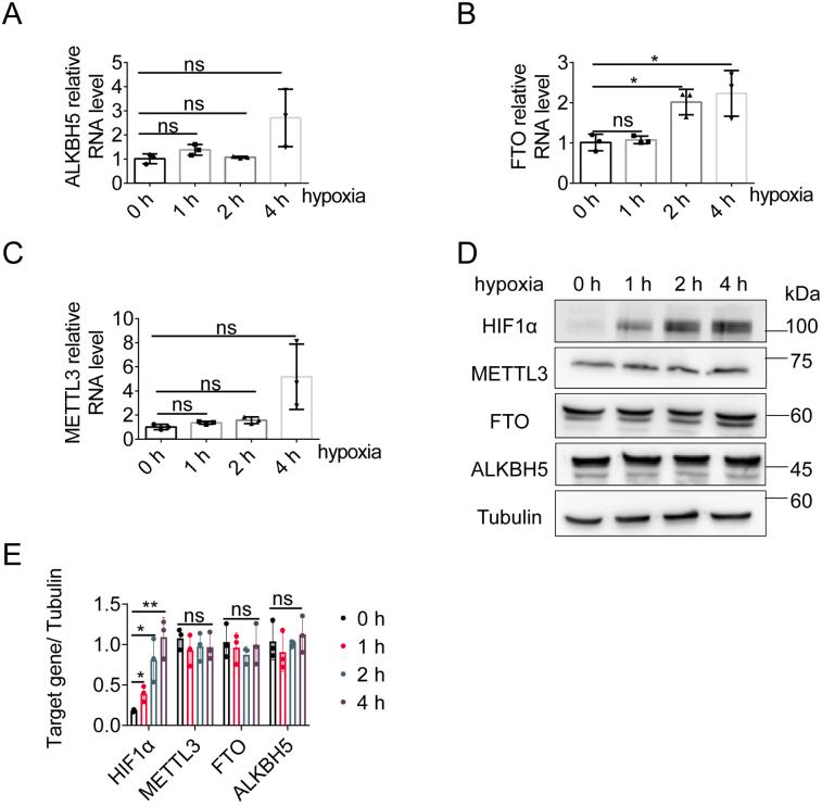 https://cdn.ncbi.nlm.nih.gov/pmc/blobs/7b04/10457456/b70cff21a338/figs1.jpg