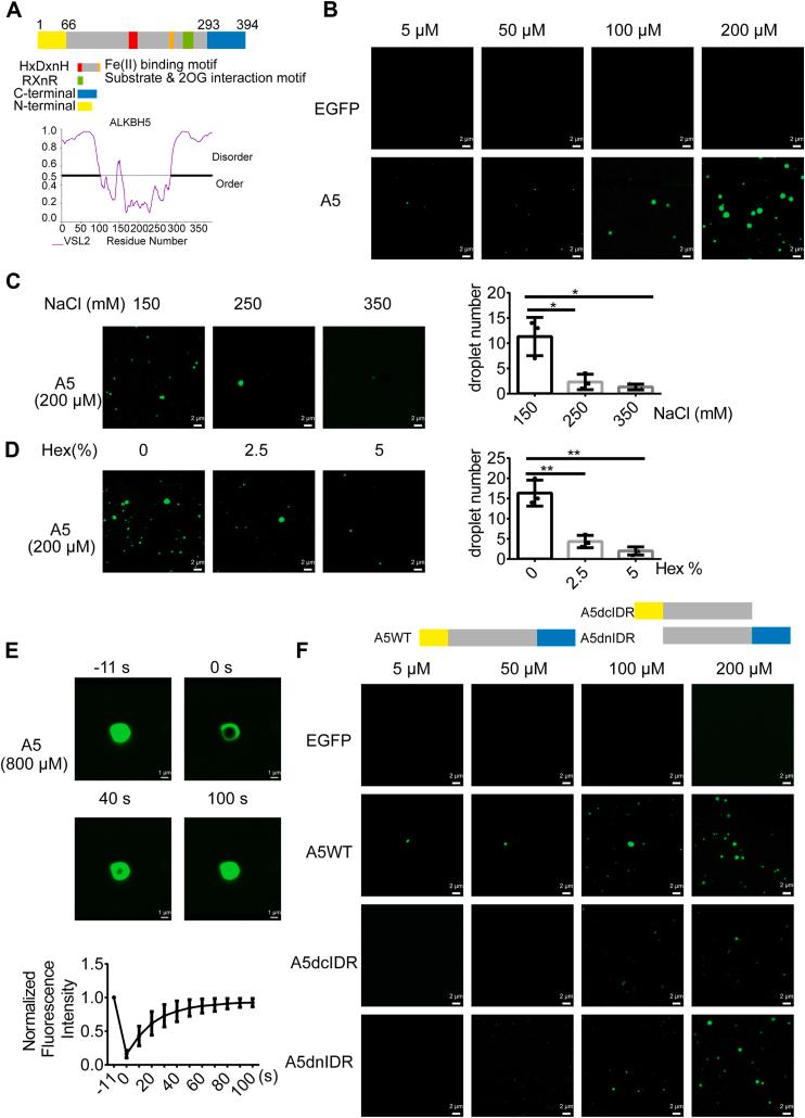 https://cdn.ncbi.nlm.nih.gov/pmc/blobs/7b04/10457456/d2aff27ab802/gr2.jpg