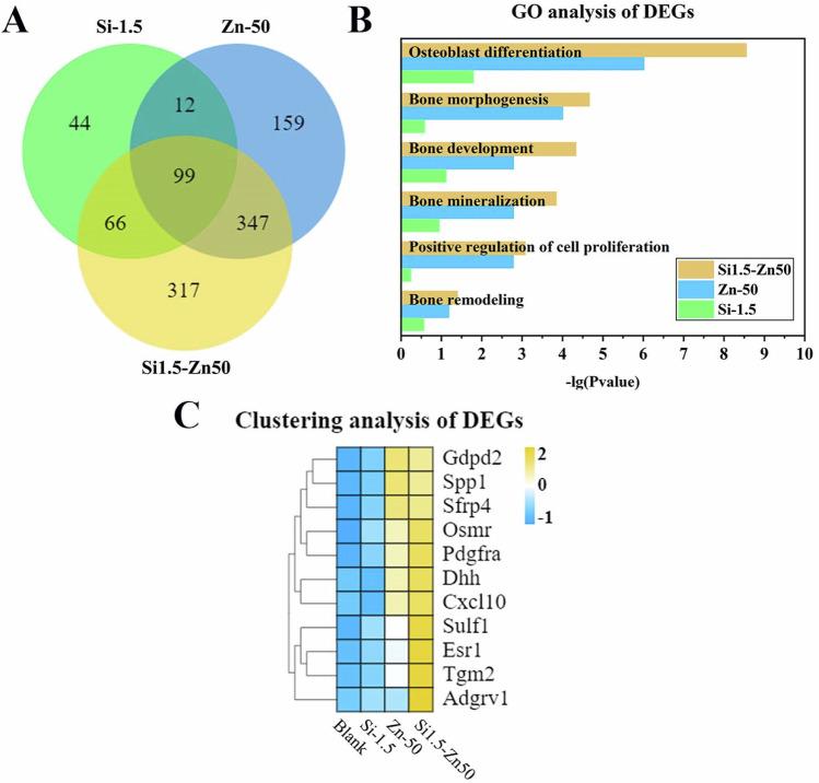 https://cdn.ncbi.nlm.nih.gov/pmc/blobs/7b04/11383841/fb943b090139/10856_2024_6825_Fig6_HTML.jpg