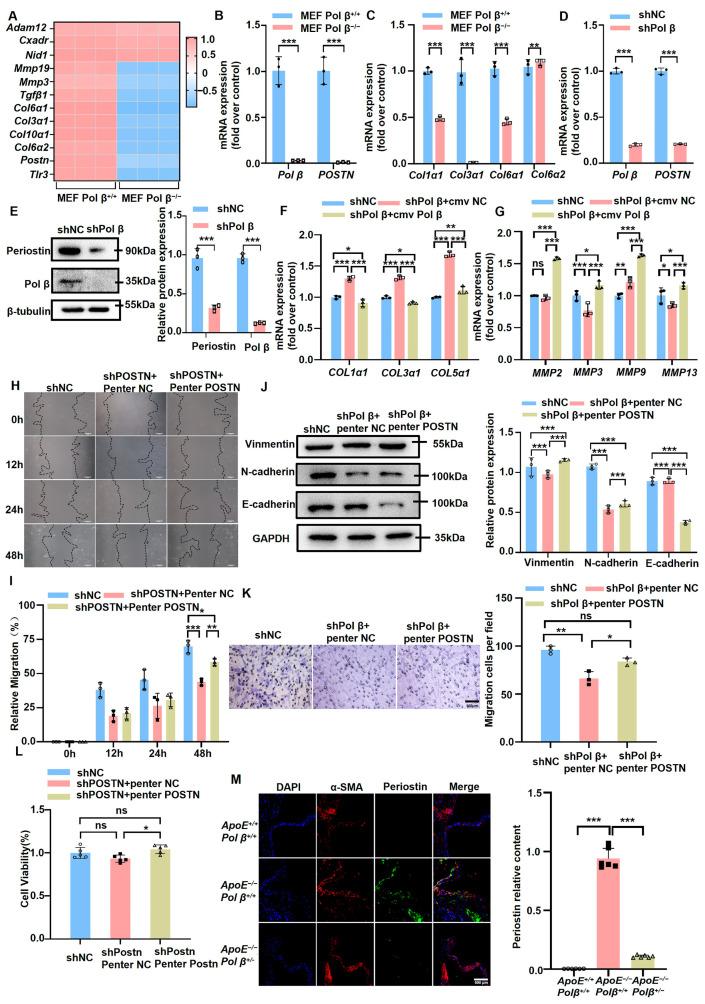 https://cdn.ncbi.nlm.nih.gov/pmc/blobs/7b05/11547094/37bce029cd26/ijms-25-11778-g003.jpg