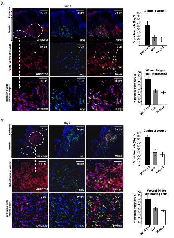 https://cdn.ncbi.nlm.nih.gov/pmc/blobs/7b05/2584011/6ff5988927c3/1755-1536-1-3-5.jpg