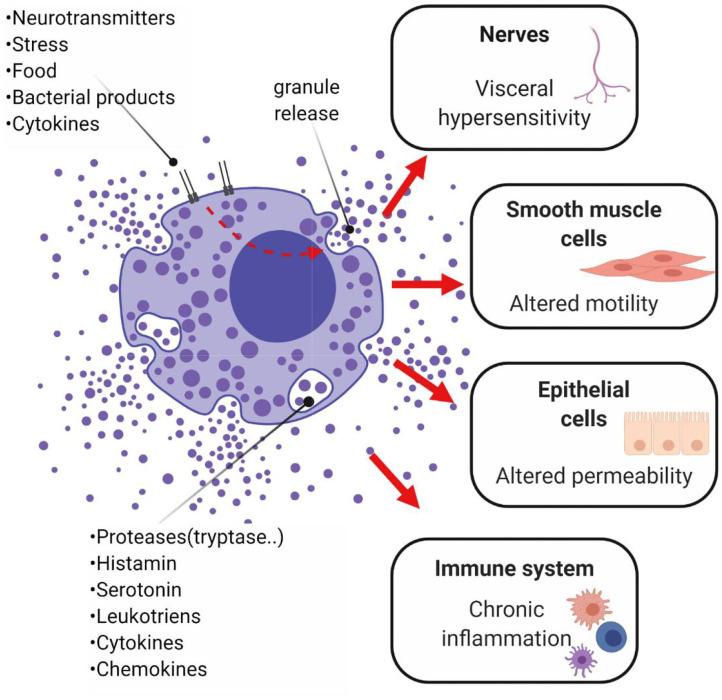 https://cdn.ncbi.nlm.nih.gov/pmc/blobs/7b07/7509092/399d7dcdd0ad/fcimb-10-00468-g0006.jpg