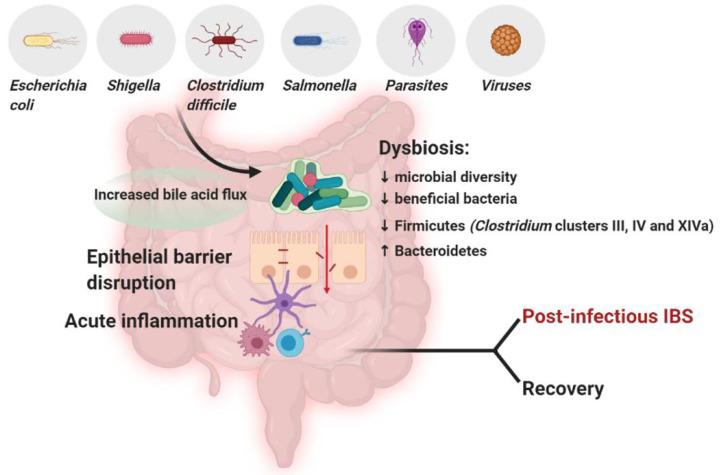 https://cdn.ncbi.nlm.nih.gov/pmc/blobs/7b07/7509092/bb3ab9c085c8/fcimb-10-00468-g0002.jpg