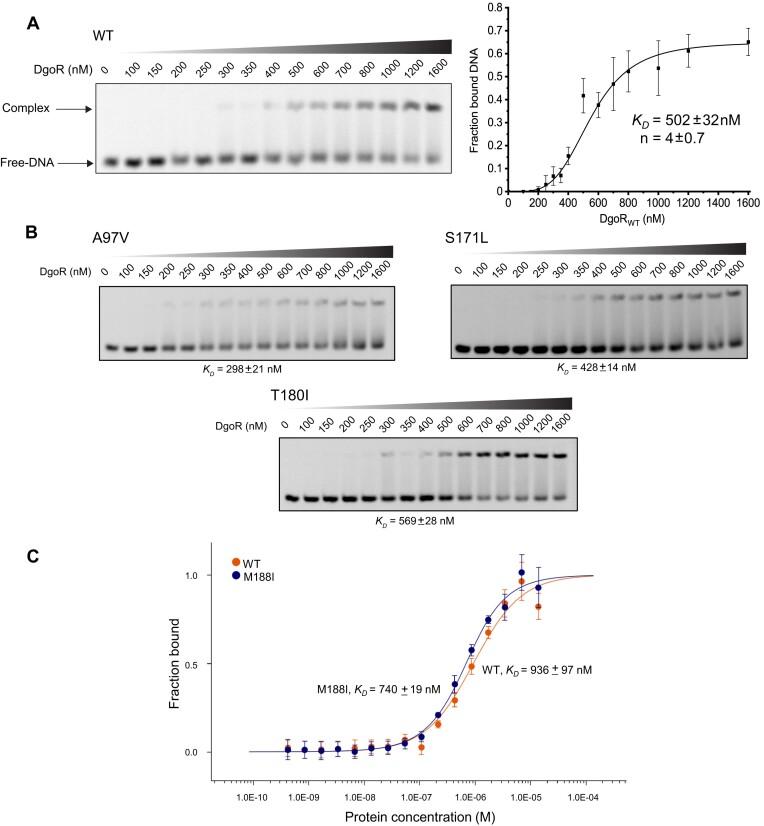 https://cdn.ncbi.nlm.nih.gov/pmc/blobs/7b0d/11705089/655c8ab298b1/gkae1299fig4.jpg