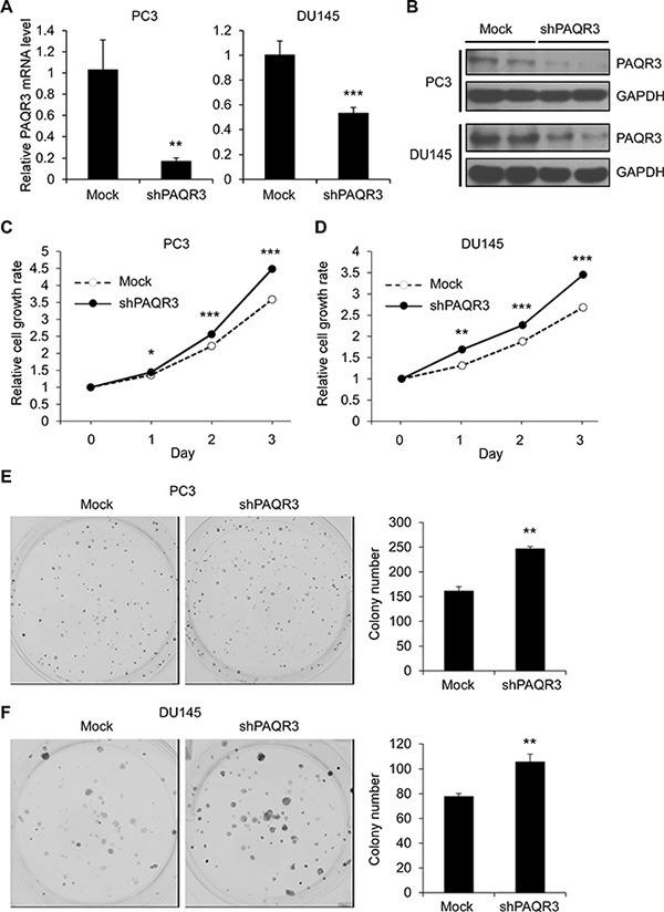 https://cdn.ncbi.nlm.nih.gov/pmc/blobs/7b11/5589553/bf576be1272e/oncotarget-08-53948-g002.jpg